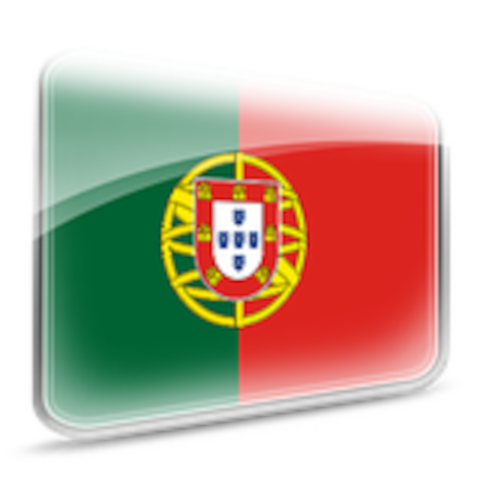 language services translate and proofread your texts portuguese portugal pt